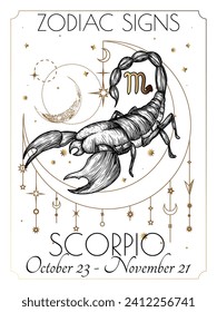 Vector illustration of zodiac signs. Scorpio in white and gold colors in engraving style