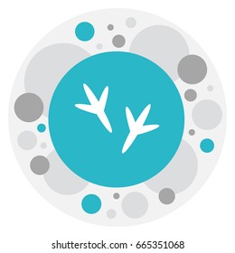 Vector Illustration Of Zoo Symbol On Chicken Feet Icon. Premium Quality Isolated Footprint Element In Trendy Flat Style.