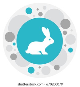 Vector Illustration Of Zoo Symbol On Bunny Icon. Premium Quality Isolated Rabbit Element In Trendy Flat Style.