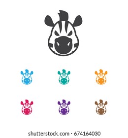 Vector Illustration Of Zoo Symbol On Zebra Icon. Premium Quality Isolated Horse Element In Trendy Flat Style.