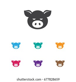 Vector Illustration Of Zoo Symbol On Pork Icon. Premium Quality Isolated Piggy Element In Trendy Flat Style.