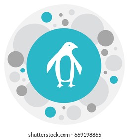 Vector Illustration Of Zoology Symbol On Penguin Icon. Premium Quality Isolated Diver Element In Trendy Flat Style.