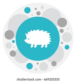 Vector Illustration Of Zoology Symbol On Hedgehog Icon. Premium Quality Isolated Porcupine Element In Trendy Flat Style.