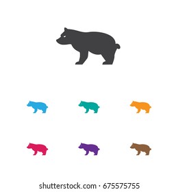 Vector Illustration Of Zoology Symbol On Grizzly Icon. Premium Quality Isolated Polar Animal Element In Trendy Flat Style.