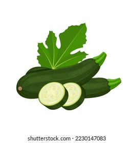 Vector illustration, zucchini with slices and leaves, isolated on white background.