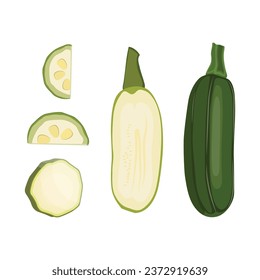 Ilustración vectorial de la verdura zuchini en estilo plano. Zuchini fresco, único, grupal, entero y rebanado. Agricultura orgánica vegetal sana bueno para vegetariano. Raw Zuchchini aislado