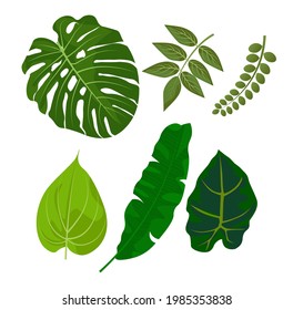 vector illustration,1 set of six green leaves
