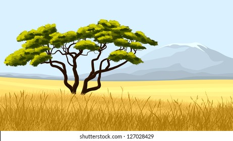 Vector illustration:African landscape, yellow grass and acacia one against mountain on hot day.