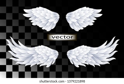 Vector illustration.Angel wings are white fluffy and with twisted edges feathers set