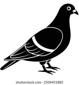 vector illustration-art of pigeon image