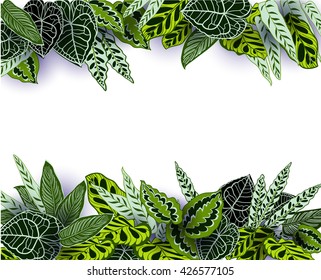 Vector illustration.Beautiful background of tropical plants, handmade, seamless pattern. All elements are not cropped and hidden under mask. Striped vintage boho fashion style pattern background