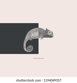 Vector illustration.Chameleon  silhouette. Vector card. Cover design.