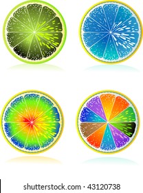 Vector illustration-citrus