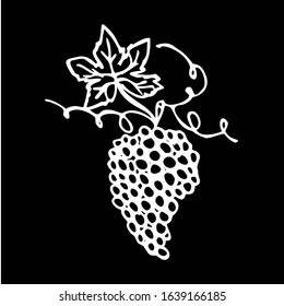 Vector illustration.Close-up bunch of grapes on an isolated black background.