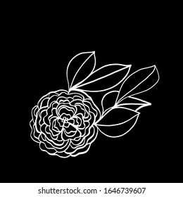 Vector illustration.Close-up hand-drawn plant, abstract flower on isolated black background.Design for covers, tattoo, wallpaper.