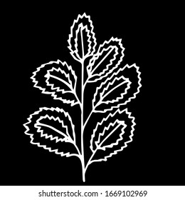 Ilustración vectorial.Planta dibujada a mano, hoja abstracta sobre un fondo negro aislado.Diseño para cubiertas, tatuajes, papel pintado.
