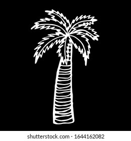 

Vector illustration.Close-up of palm tree on isolated black background. Cover design, clothing print.