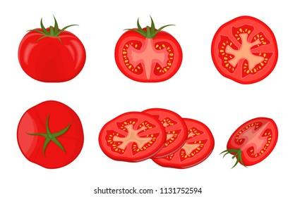 Vector illustration.Collection tomatoes on white background.