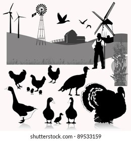 Vector illustration:farm birds