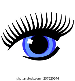 Vector illustrationfemale blue eye.