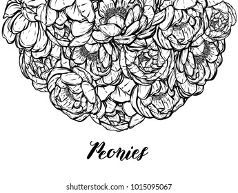 Vector illustration.Flower decoration of peonies. background white,card for you. Handmade, prints on T-shirts