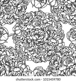Vector illustration.Flower decoration of peonies. card for you. Handmade, prints on T-shirts,background white, seamless pattern