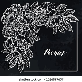 Vector illustration.Flower decoration of peonies. prints on T-shirts,card for you. background chalkboard.Handmade