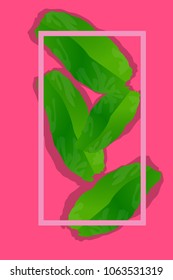 Vector illustration.Green palm leaves and frame on pink background.