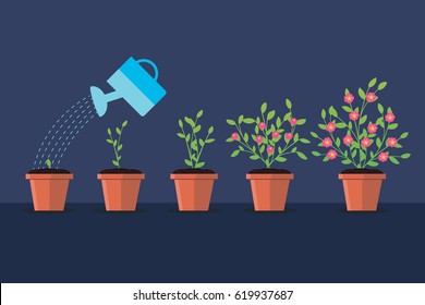 Vector illustration.Green plant flower. Timeline infographic. Watering pot.