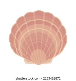 Vector Illustration,Illustration of bivalve shell