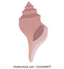 Ilustración vectorial,Ilustración de la cáscara de espiral simple