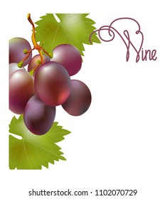 vector illustration.label for red vino