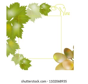 vector illustration.label for white vino