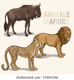 Vector illustrations of african animals isolated on a light background; lion, cheetah, wildebeest