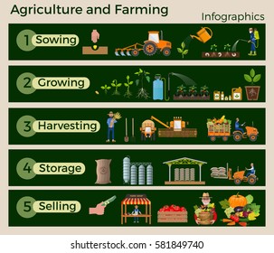 Vector illustrations for agricultural infographics