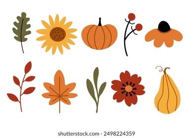 Vector illustrations of autumn cartoon objects: sunflower, maple leaf, rowan, oak leaf, vegetables, harvest, plants, pumpkin, fall flowers. Design elements for Thanksgiving Day, autumnal season, event