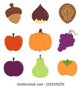 Vector illustrations of autumn harvest objects. Fruits and nuts that harvesting in autumn: acorn, chestnut, walnut, apple, pumpkin, grape, plum, pear, and persimmon.