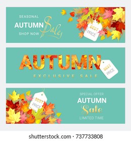 Vector illustrations with autumn leaves on a green background. White Text seasonal, exclusive, shop, special offer, limited time. Golden Handwriting text sale. Yellow, red photo realistic leaves.