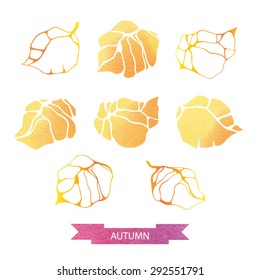 vector illustrations of autumn leaves with watercolor texture