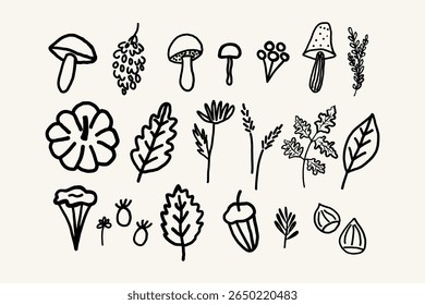 Vector illustrations of autumn objects:with pumpkin, mushrooms, berries, grapes, maple leaf, rowan, oak leaf, plants, fall flowers. Design elements for Thanksgiving Day, autumnal season, event