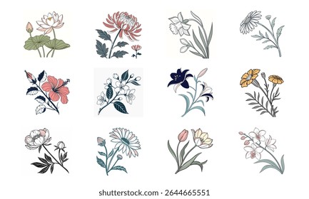 Vector illustrations of beautiful flowers in various styles lotus hibiscus chrysanthemum daffodil daisy jasmine lily marigold peony sunflower tulip orchid with 12 flower bundles