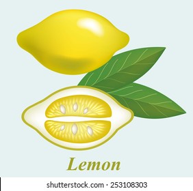 vector illustrations of beautiful yellow lemon fruits