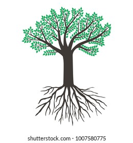 Vector illustrations of big tree with green leaves