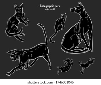 Vector illustrations of black cats in a realistic style, for tattoos, stickers, textile, posters. Magical moon mood.