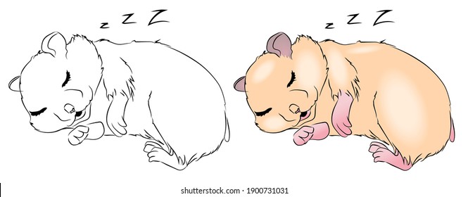 Vector illustrations of black outline and colored hamster. One hamster is sleeping. Coloring book for children