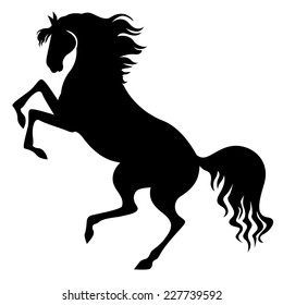 Vector illustrations of black silhouette of horse reared. Isolated outline