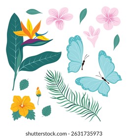 vector illustrations with botanical elements in flat style, palm leaf, hibiscus, plumeria and strelitzia flowers and butterfly isolated on white background