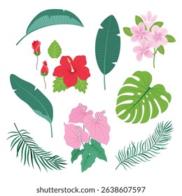 vector illustrations with botanical elements in flat style, palm leaf, hibiscus, plumeria and anthurium flowers isolated on white background