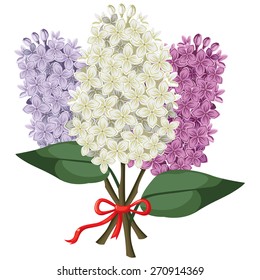 Vector illustrations of  bouquet of multicolored three branches of lilac