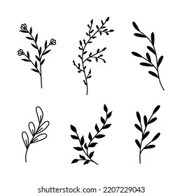 Vector illustrations of branches and leaves set. Hand drawn black floral elements for wedding, greeting cards. Vintage botanical design elements.